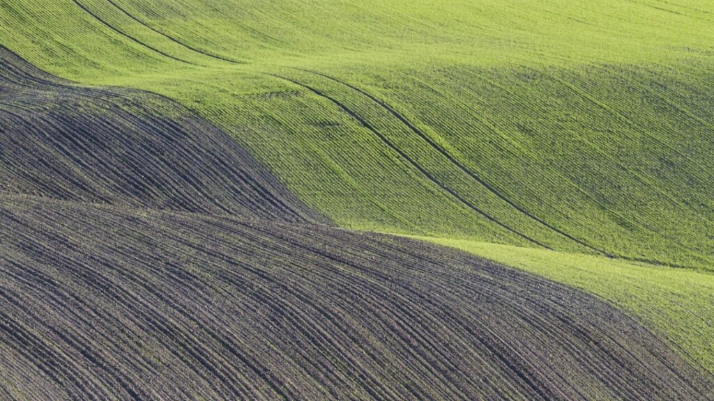 ASSQ formulär – ladda ner och fyll i gratis i PDF