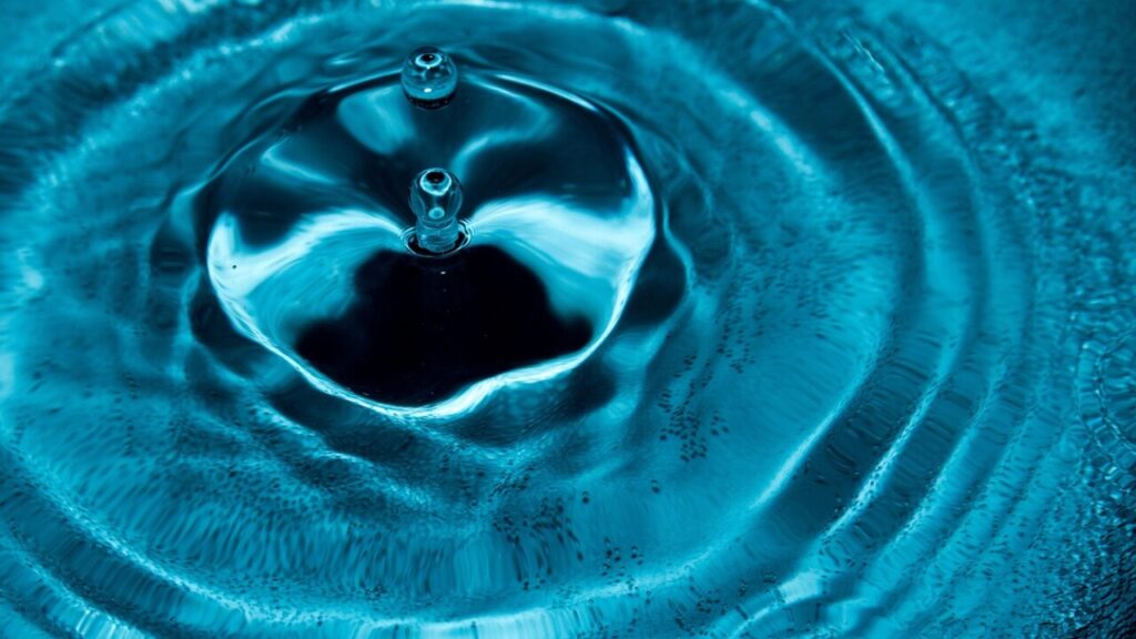 Dcq formulär – ladda ner och fyll i enkelt