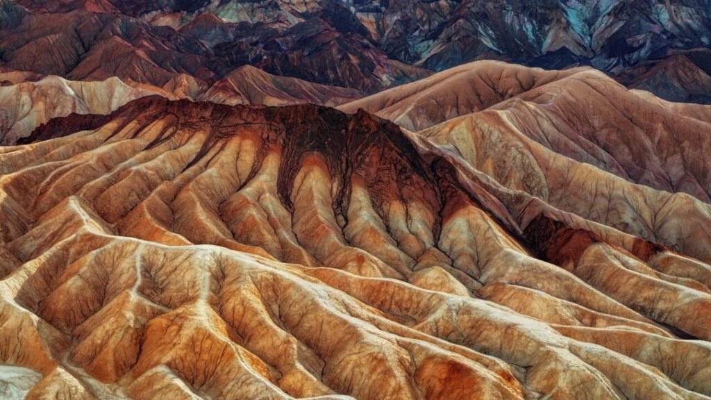 Dödskriterier formulär - ladda ner och fyll i enkelt